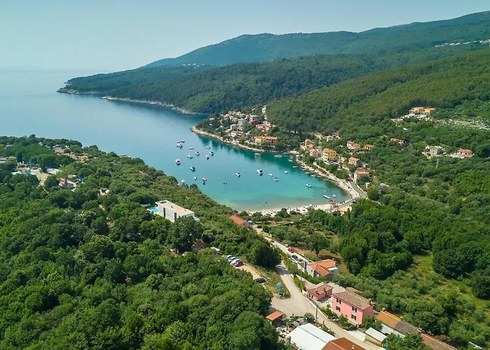 Oliva Vilea