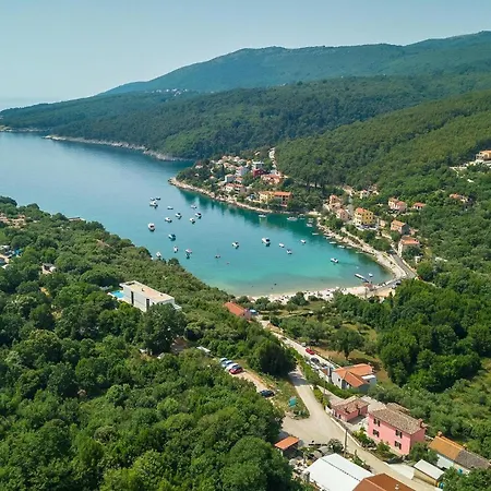 Oliva Vilea